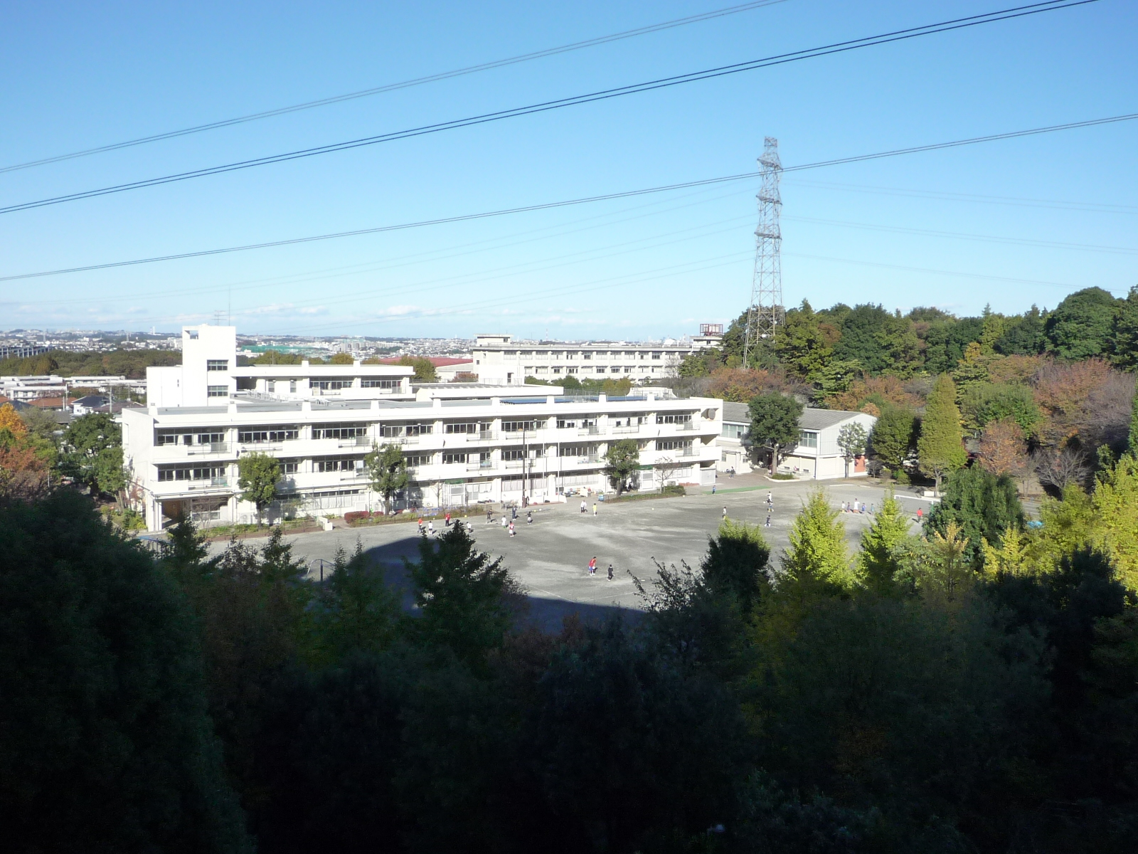 Primary school. 491m to Yokohama Municipal Wakabadai elementary school (elementary school)