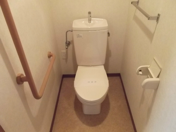 Toilet. Toilet