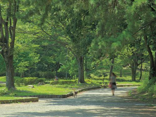 park. 2290m ​​until the children nature park