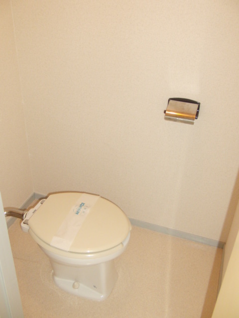 Toilet. Western-style toilet