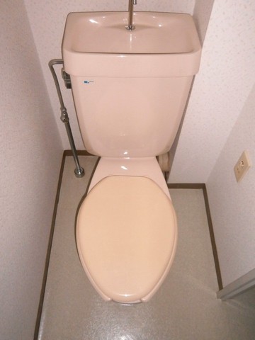 Toilet. Separate toilet