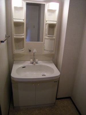 Washroom. Reference photograph (404, Room photo)