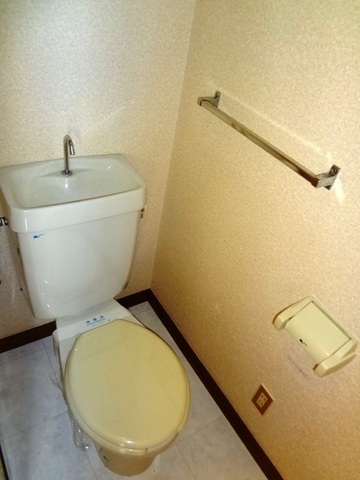 Toilet. Inverted type