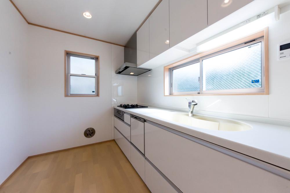 Kitchen. Popular face-to-face kitchen