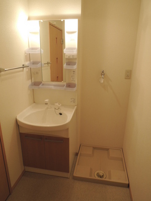 Washroom. Bathroom Vanity