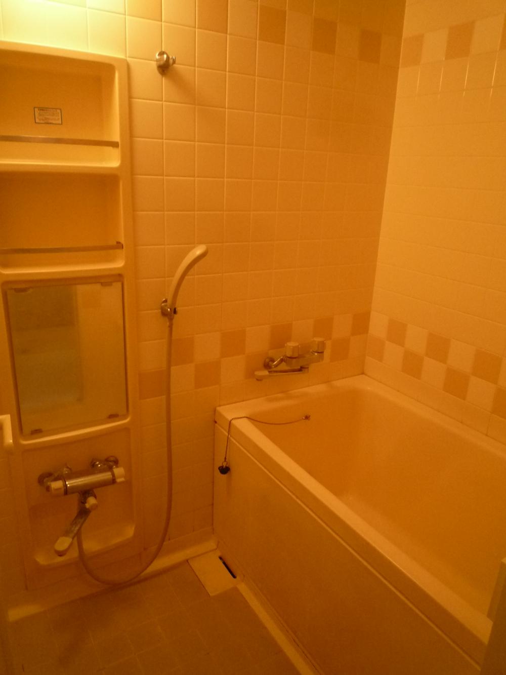 Bathroom. Indoor (12 May 2013) Shooting