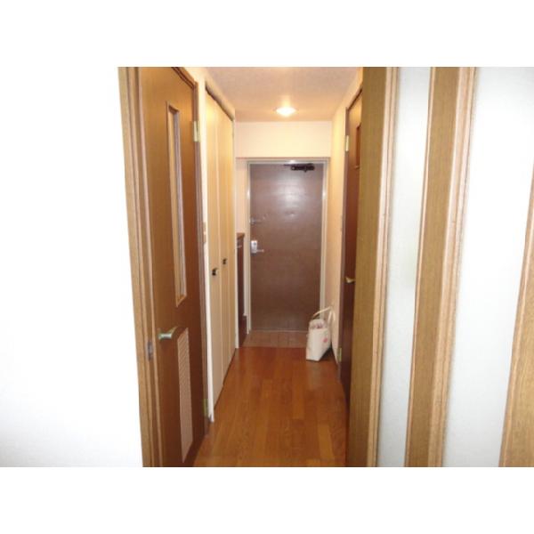 Entrance. Spacious hallway