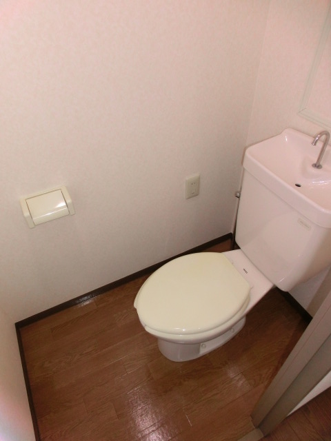 Toilet. View Valley Mitsuzawa room photo