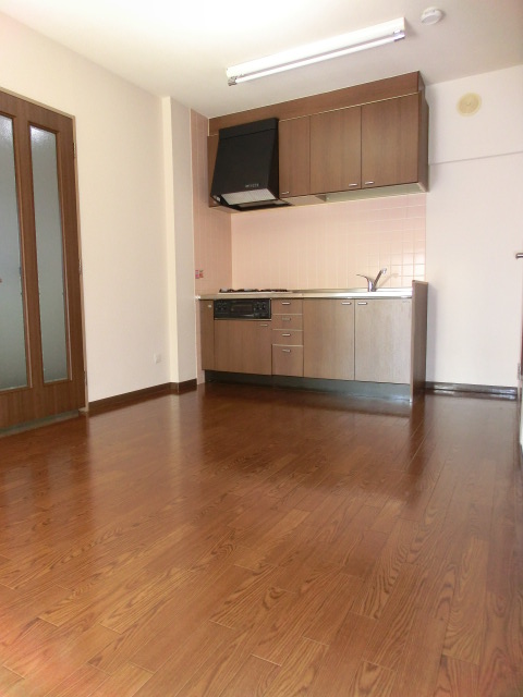 Living and room. View Valley Mitsuzawa room photo