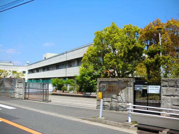 Junior high school. Matsumoto 1999m until junior high school (junior high school)