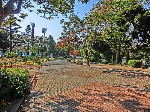 park. 559m until Mitsuzawa park (park)