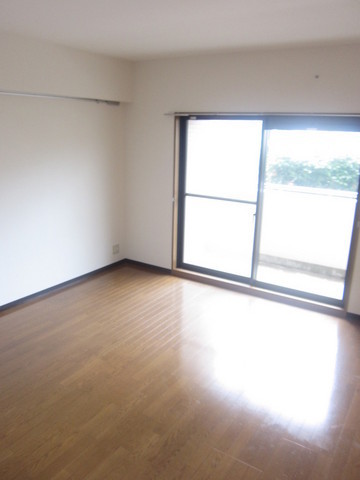 Living and room. Bright living room