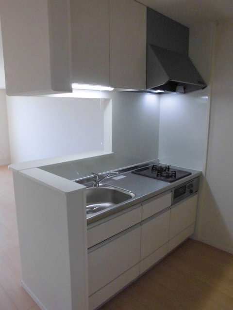 Kitchen. Grill with gas two-burner system kitchen also spread the width of the cuisine