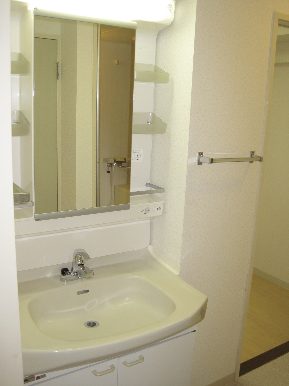Washroom. Bathroom vanity