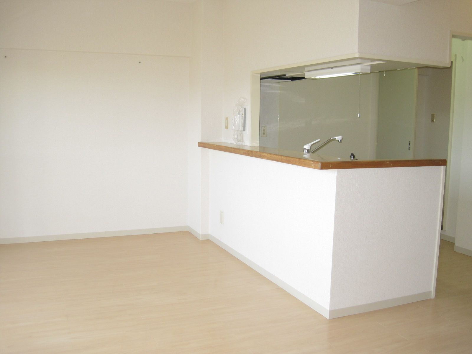Kitchen. Kitchen counter