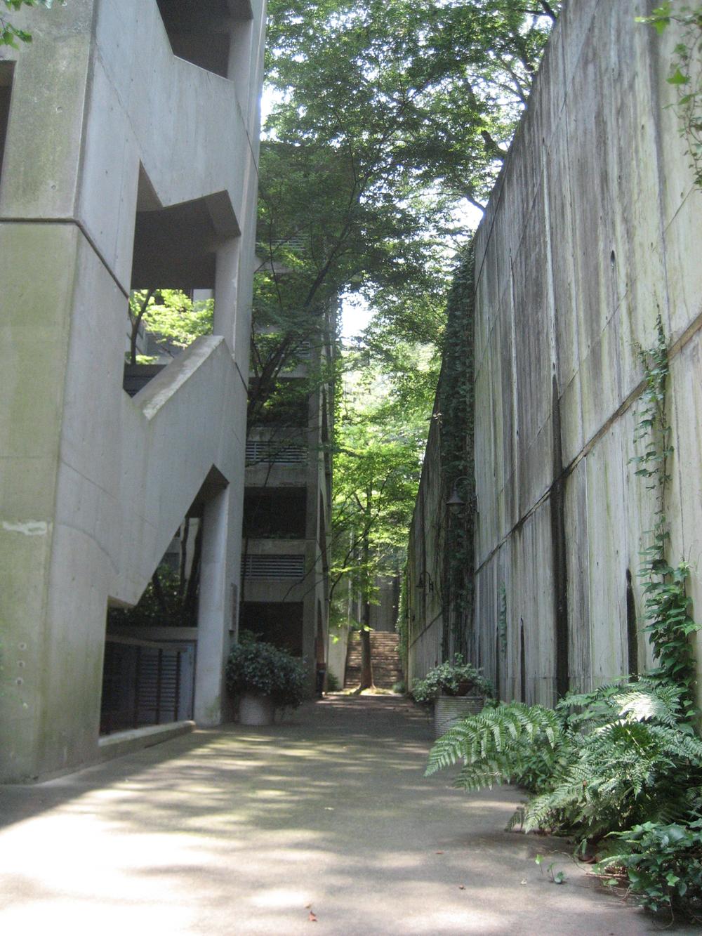 Local appearance photo. Local (July 2013) Shooting