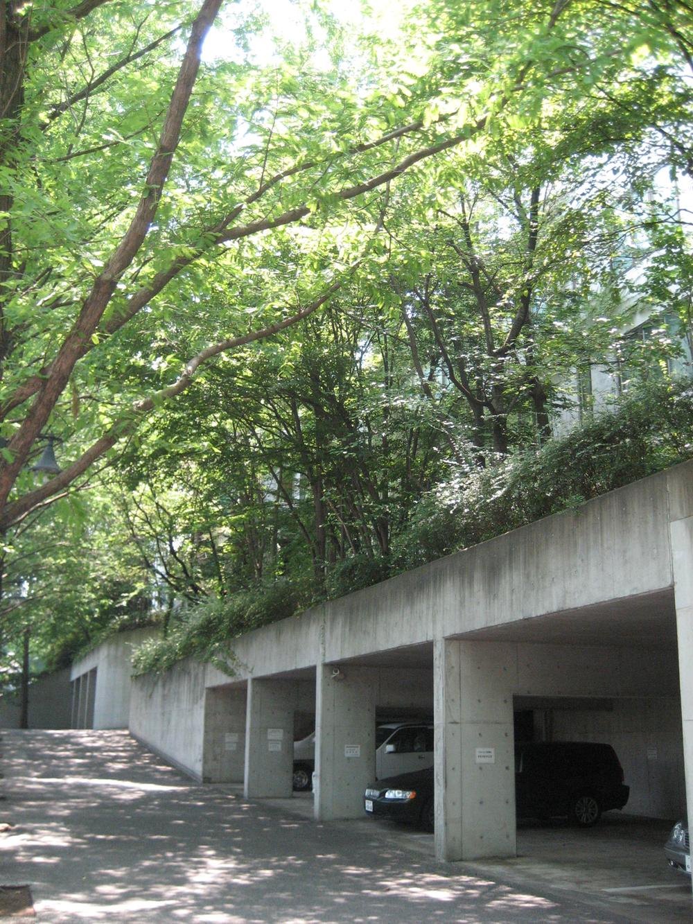 Local appearance photo. Local (July 2013) Shooting