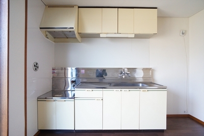 Kitchen. Two-burner stove can be installed Gasukitchin!