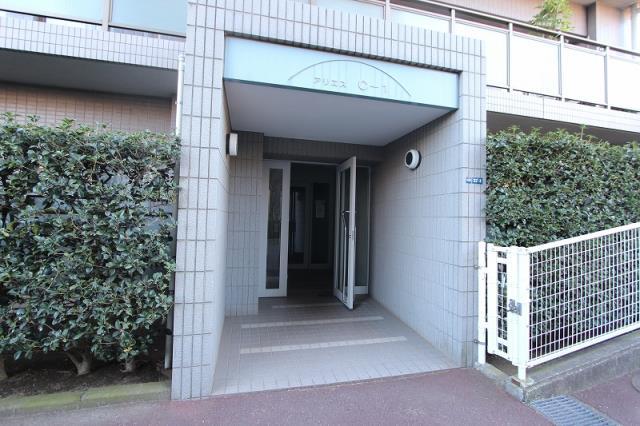 Entrance. Common areas