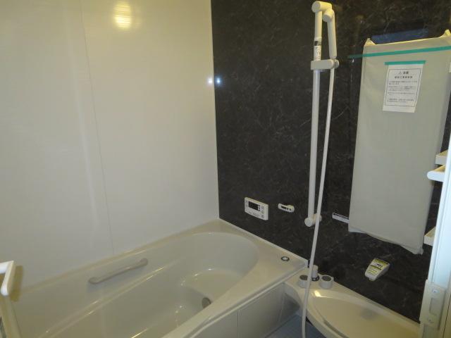 Bathroom. Indoor (12 May 2013) Shooting