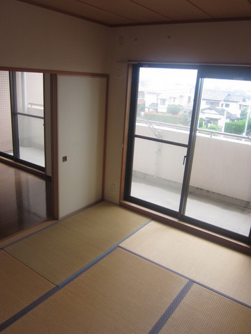Living and room. Healing of Japanese-style room