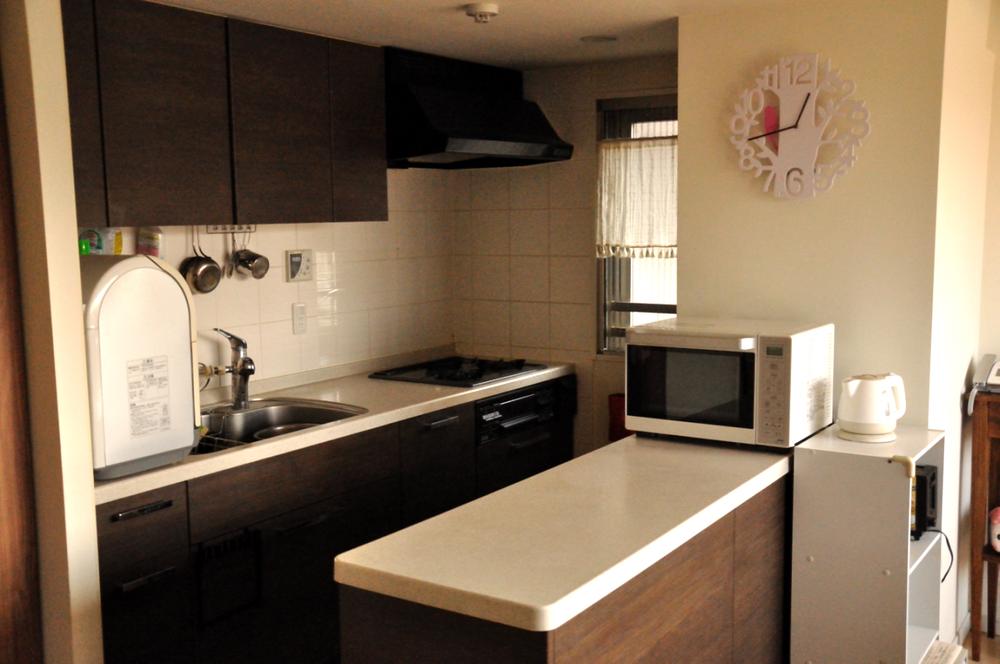 Kitchen. Indoor (12 May 2013) Shooting