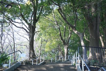 park. 702m to Tokiwa Park