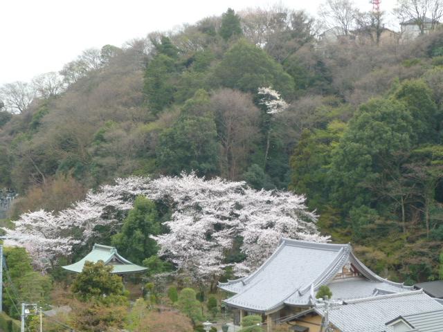 View photos from the dwelling unit. View from the balcony