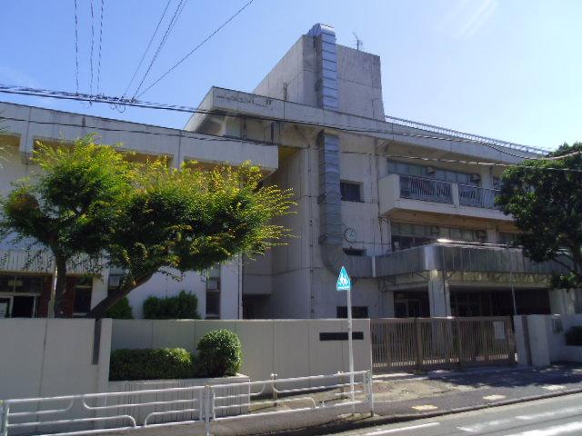 Primary school. 570m until Iwasaki elementary school