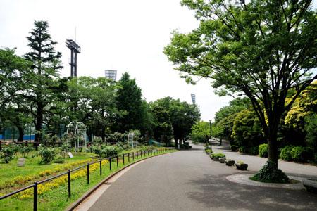 park. 500m to Mitsuzawa park