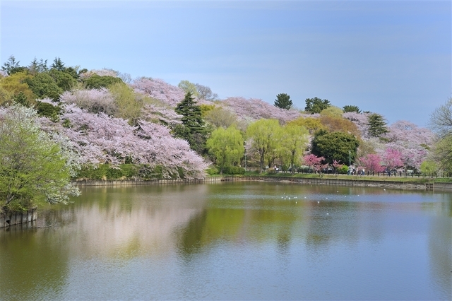 park. 650m until Mitsuzawa park (park)