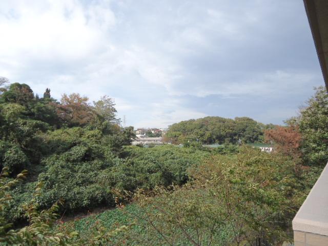 View photos from the dwelling unit. View from the site (November 2013) Shooting