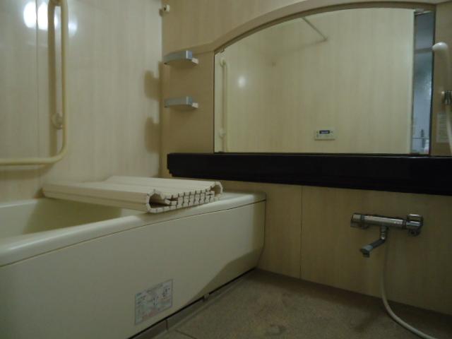 Bathroom. Indoor (11 May 2013) Shooting