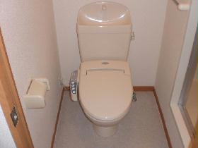 Toilet. Current state priority