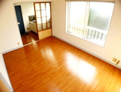 Living and room. It contains the pleasant sunshine
