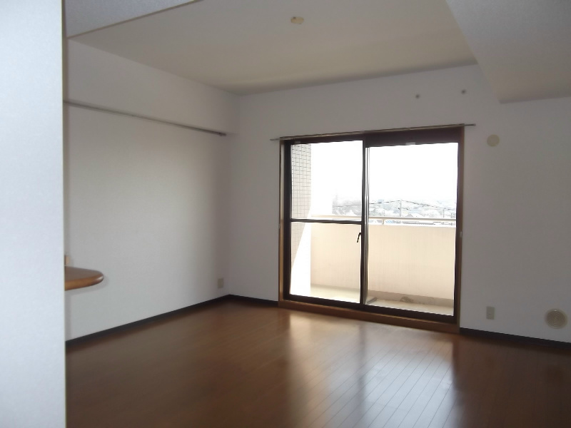 Living and room. Living