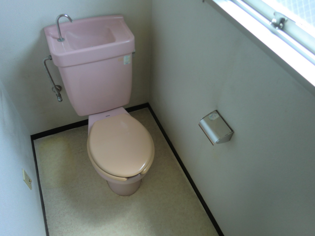 Toilet. Interior before