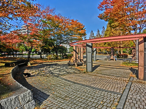 park. 210m until Nishikubo the town park (park)