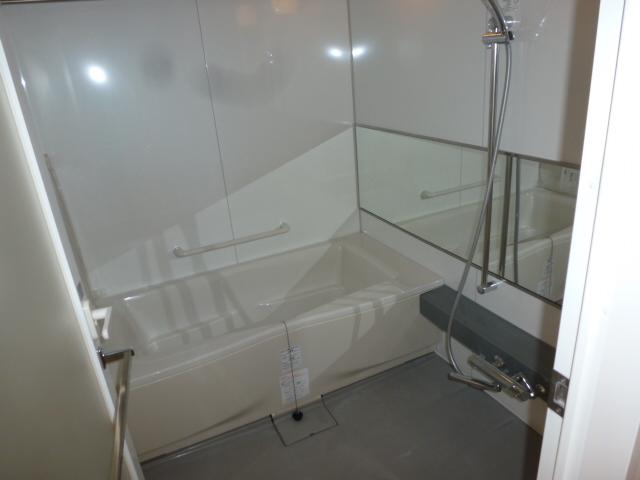 Bathroom. Indoor (10 May 2013) Shooting