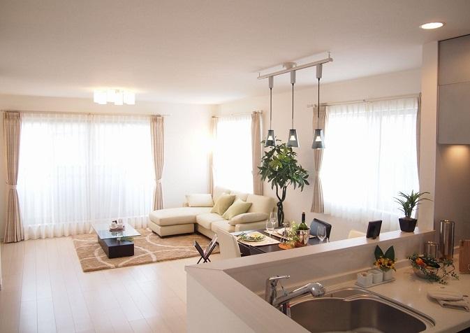 Same specifications photos (living). Living example of construction