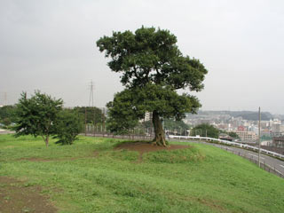 park. 741m until Shimizu months hill park (park)