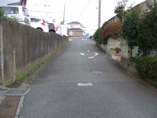 Local appearance photo. Front road (1)