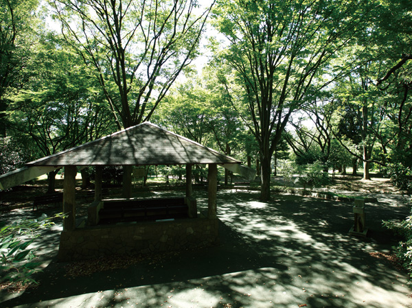 Surrounding environment. Forest and babbling zone (within the Prefectural Hodogaya Park)