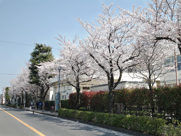 Surrounding environment. Sakuradai elementary school (about 80m)