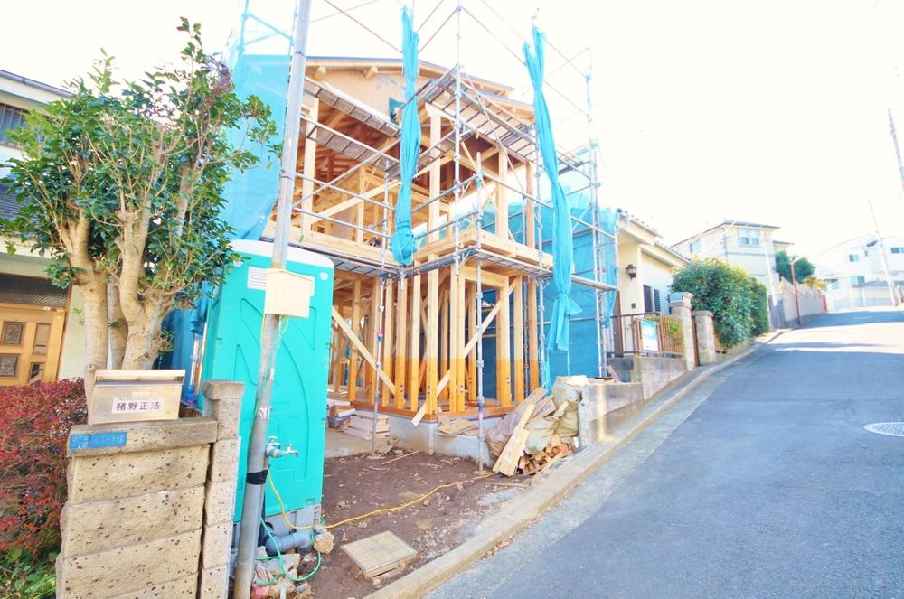 Local photos, including front road. Local (11 May 2013) Shooting, Good hit yang attached to the south slope.