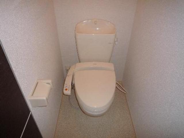 Toilet. Clean bidet function