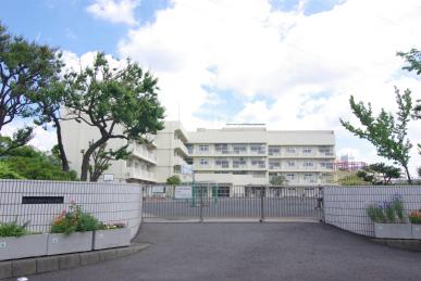 Other. Setoketani elementary school (walk about 8 minutes)