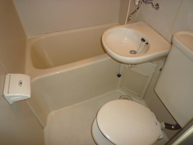 Bathroom. Indoor (February 2011) shooting