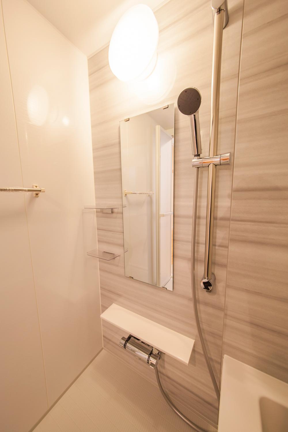 Bathroom. Thermo shower faucet