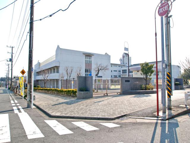 Junior high school. Yokohama Tateiwa Ihara until junior high school 486m